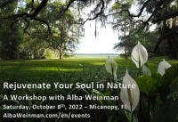 Rejuvenate Your Soul in Nature - A Workshop on October 8th, 2022